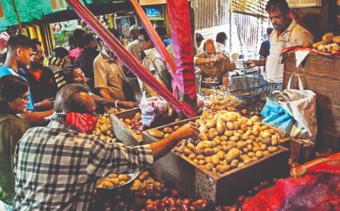 Prices of Potato crash 50% to   `5/kg on account of good crop