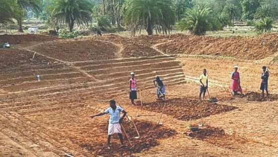 Chhattisgarh sets another record in implementation of MNREGA Chhattisgarh sets another record in implementation of MNREGA