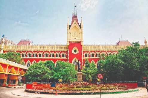 HC bars selling of birds even as pets