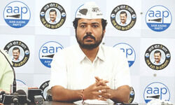 AAP and BJP spar over mosquito breeding in city