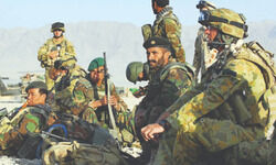 Lull before the storm?