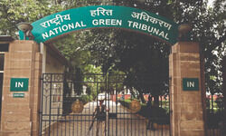 NGT order sparks bitter battle to save parks