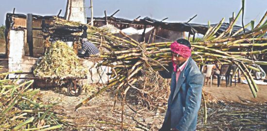 Cane dues up 19.27% to Rs 22.9K cr till February of 2020-21 season Cane dues up 19.27% to Rs 22.9K cr till February of 2020-21 season