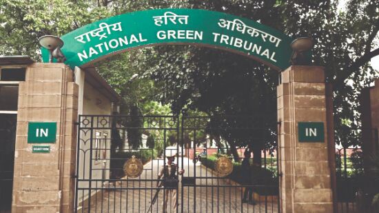NGT raps govt over funds to assess status of NCZ