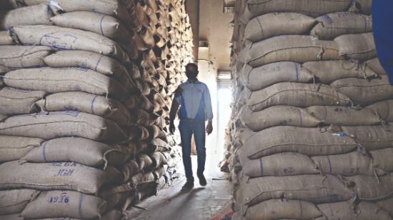 158 quintal wheat procured at MSP in Delhi 158 quintal wheat procured at MSP in Delhi