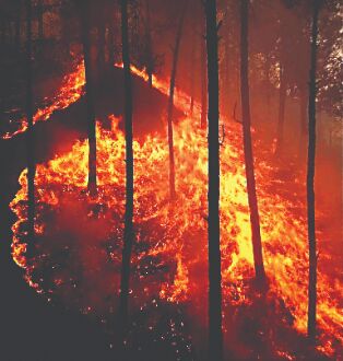 Try artificial rain to douse wildfires: Court to Ukhand Try artificial rain to douse wildfires: Court to Ukhand