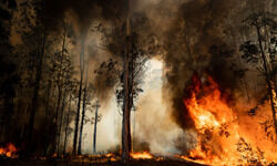 Bad master getting worse