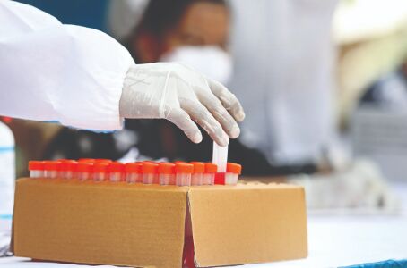 Double mutation in 61% of 361 Covid samples in Mumbai Double mutation in 61% of 361 Covid samples in Mumbai