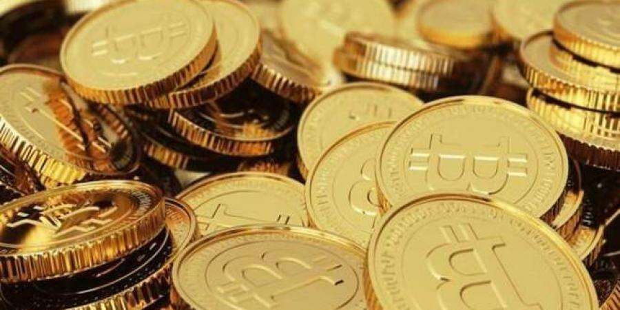 Cricket Corruption: Bitcoin transaction is new phenomenon Cricket Corruption: Bitcoin transaction is new phenomenon