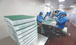 Centre says no dearth of vaccines, 2.67 crore doses in stock Centre says no dearth of vaccines, 2.67 crore doses in stock