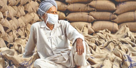 Punjab farmers received Rs 202 cr in last 1 week: Centre Punjab farmers received Rs 202 cr in last 1 week: Centre