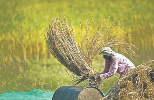Farm exports up by 16.88% in April-February FY21 Farm exports up by 16.88% in April-February FY21