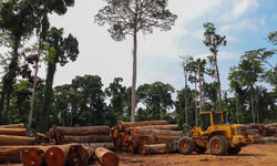 Fixing the fault lines Fixing the fault lines