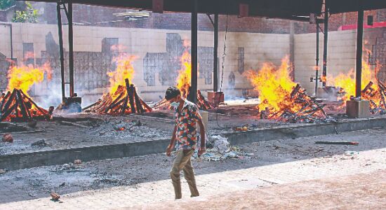 Cant be a mute spectator in national crisis, says SC Cant be a mute spectator in national crisis, says SC