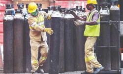 Portal launched for info on availability of hospital beds