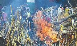 After losing both parents to Covid, siblings on the verge of suicide rescued by police After losing both parents to Covid, siblings on the verge of suicide rescued by police