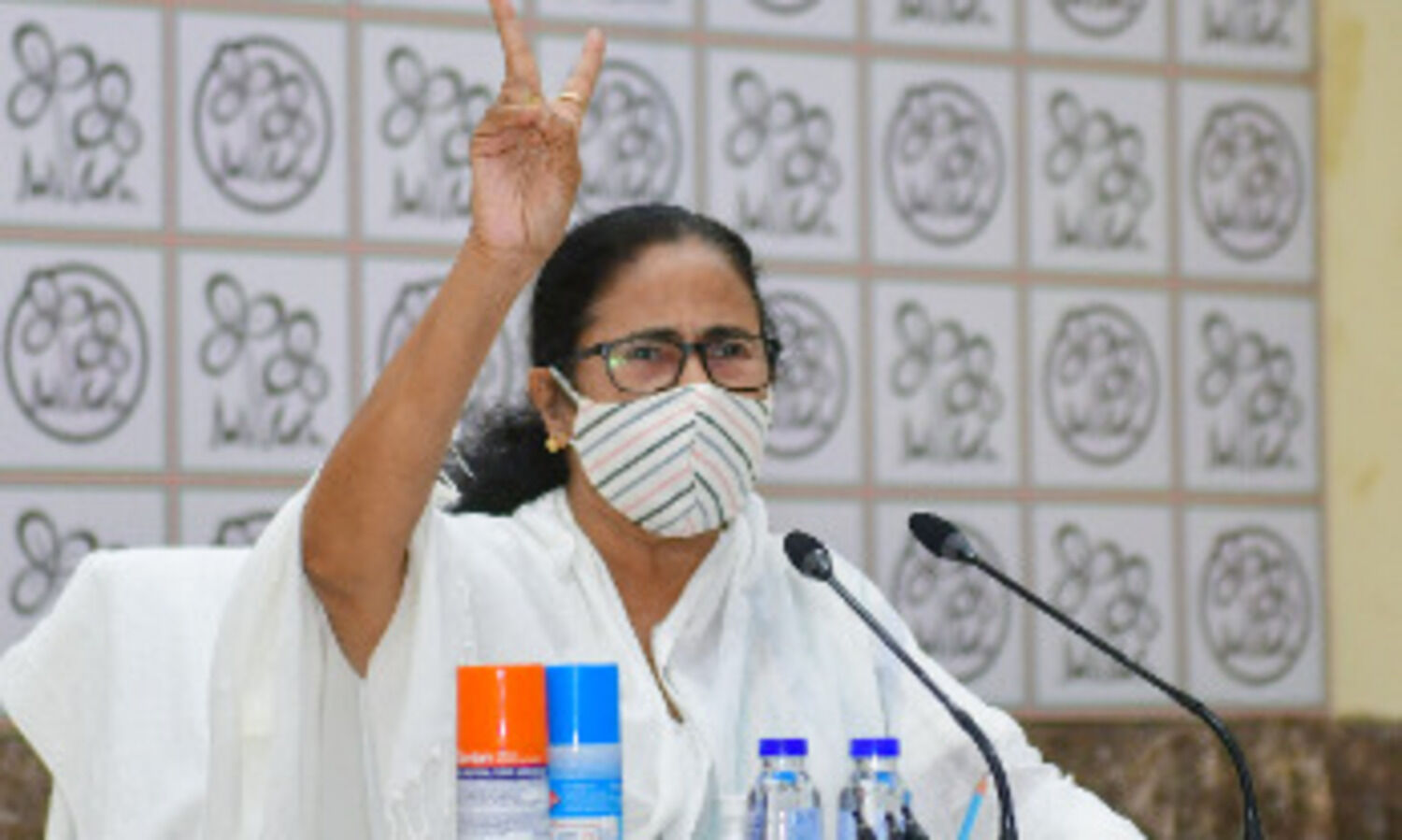 Bengal saved India today: Mamata on landslide victory