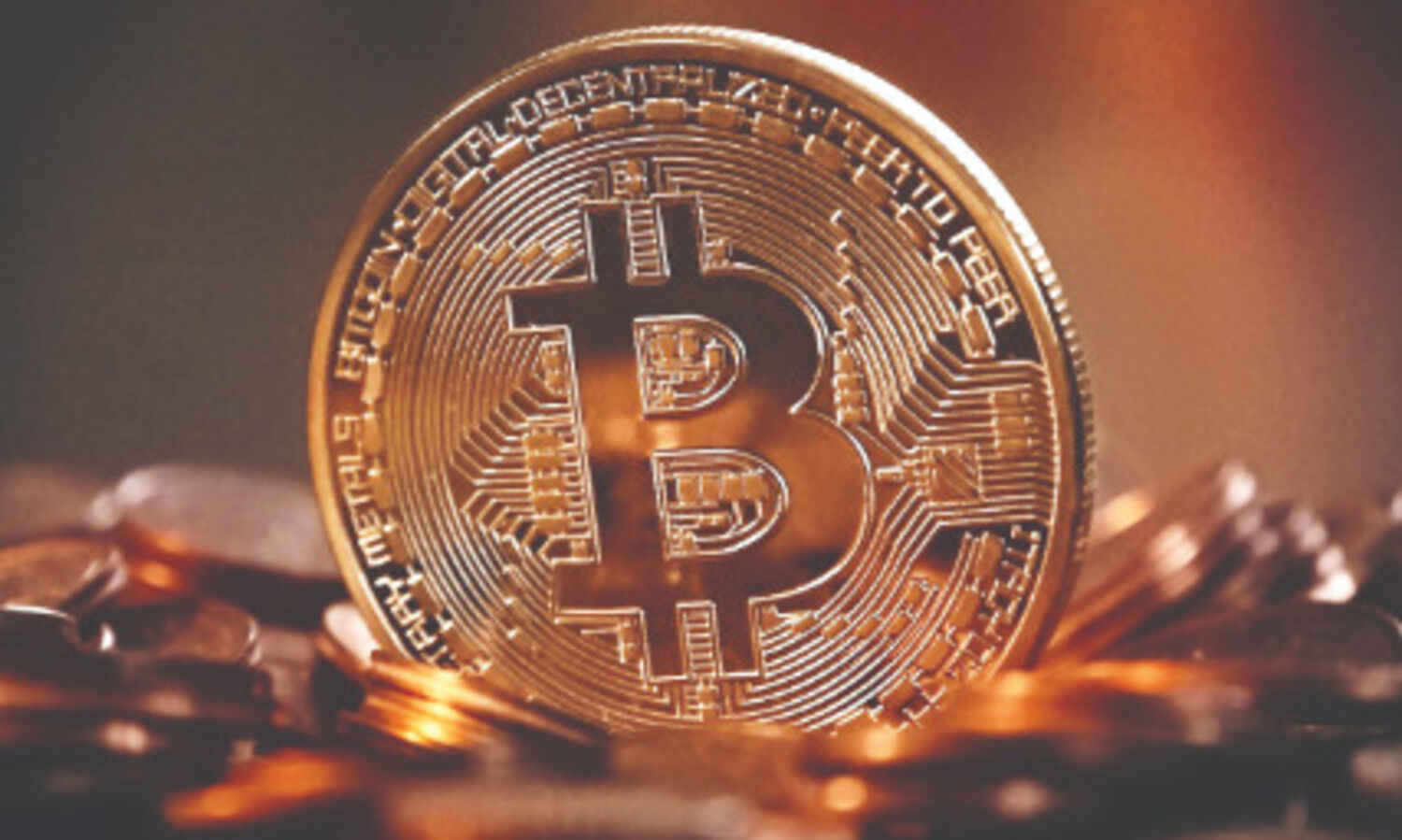 Govt should allow cryptocurrencies,   says former Finance Secy SC Garg