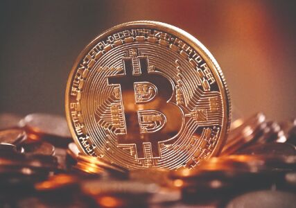 Govt should allow cryptocurrencies,   says former Finance Secy SC Garg