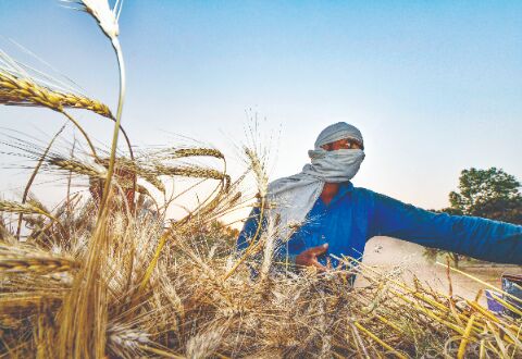 Modi deviating from poll promise of providing Rs 18K to farmers: Mamata Modi deviating from poll promise of providing Rs 18K to farmers: Mamata