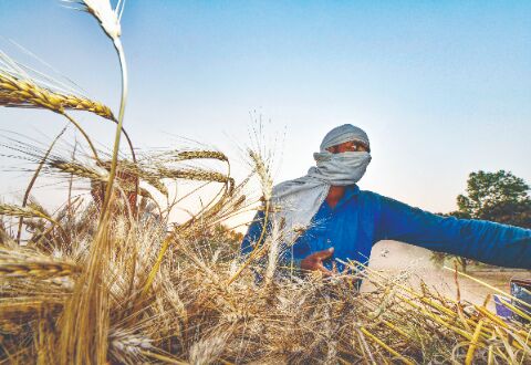 Modi deviating from poll promise of providing   Rs 18K to farmers: Mamata