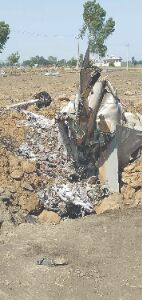 Punjab: IAF pilot dies in MiG-21 Bison crash Punjab: IAF pilot dies in MiG-21 Bison crash