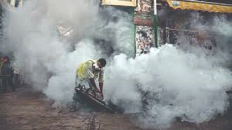 Vector-borne diseases during Covid will multiply trouble: HC Vector-borne diseases during Covid will multiply trouble: HC