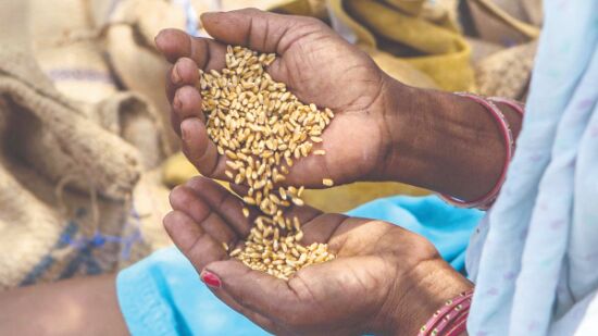 Provide dry ration, start community kitchens for stranded migrant workers: SC Provide dry ration, start community kitchens for stranded migrant workers: SC