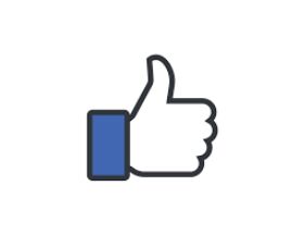 Aim to comply with IT rules, working to implement operational processes: Facebook