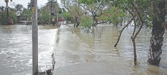 CM sets up task force to check erosion of embankments CM sets up task force to check erosion of embankments
