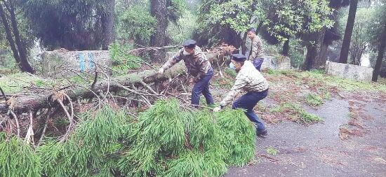 Incessant rain, cyclonic winds throw life out of gear in Hills Incessant rain, cyclonic winds throw life out of gear in Hills