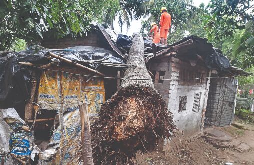 Duare Tran: Mamata rolls out relief scheme for Yaas-hit people Duare Tran: Mamata rolls out relief scheme for Yaas-hit people