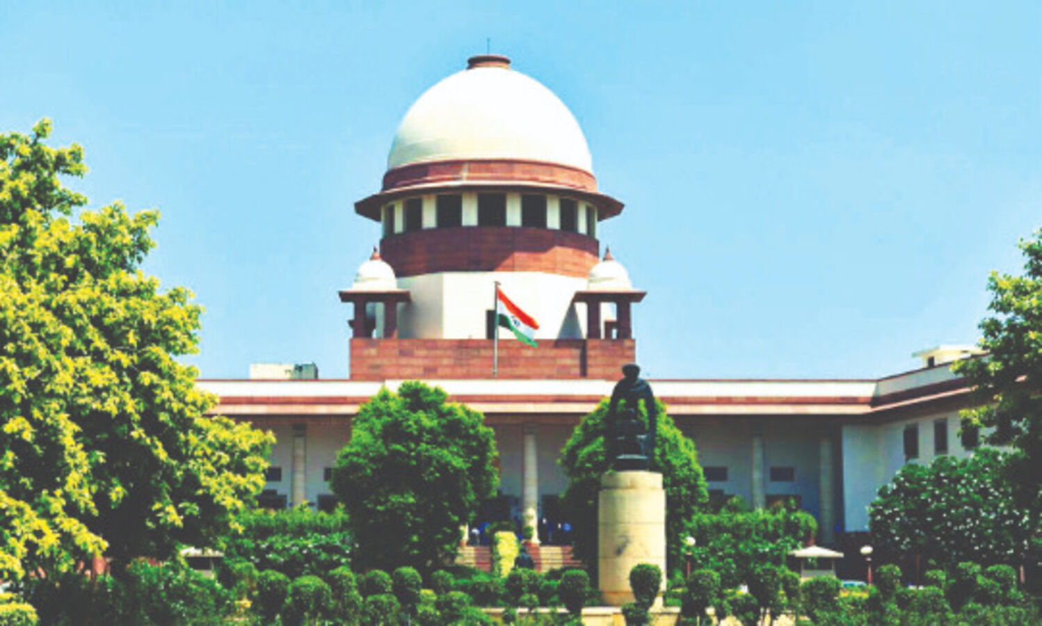 Upload data of kids orphaned in pandemic on national portal