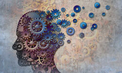 Support, not discriminate Support, not discriminate