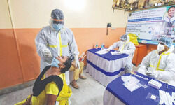 Covid counseling: About 50K distressed calls received on govt helpline numbers