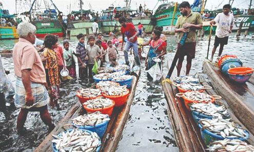 Over Rs 3.5K cr seafood exported in 2020-21