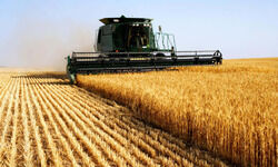 Conflicting challenges Conflicting challenges