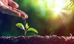 A decade of significance