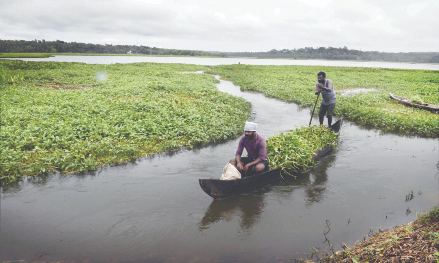 Monsoon likely to reach Odisha, Jkhand, Bihar by June 15: IMD