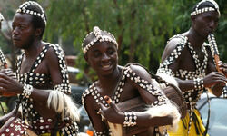 Disappearing dialects