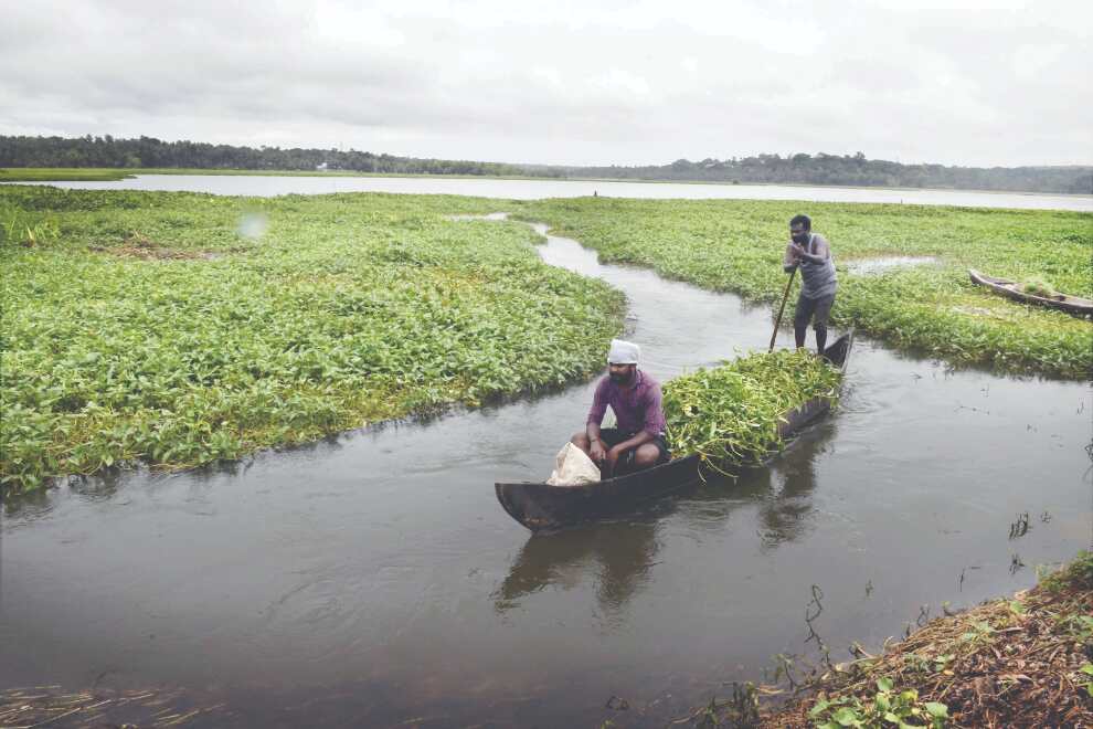 Monsoon likely to reach Odisha, Jkhand, Bihar by June 15: IMD Monsoon likely to reach Odisha, Jkhand, Bihar by June 15: IMD