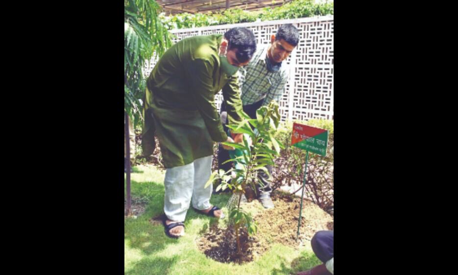 Delhi Govt to celebrate Van Mahotsav from Jun 26-Jul 11