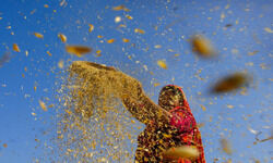 Serving endeavour Serving endeavour