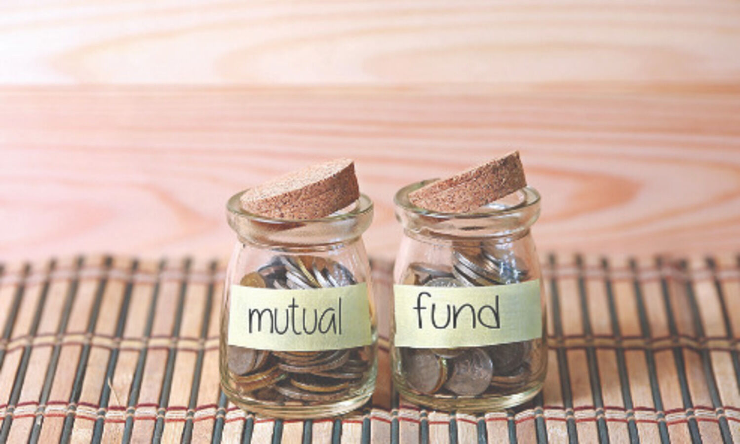 Equity MFs see Rs10k cr inflow in May