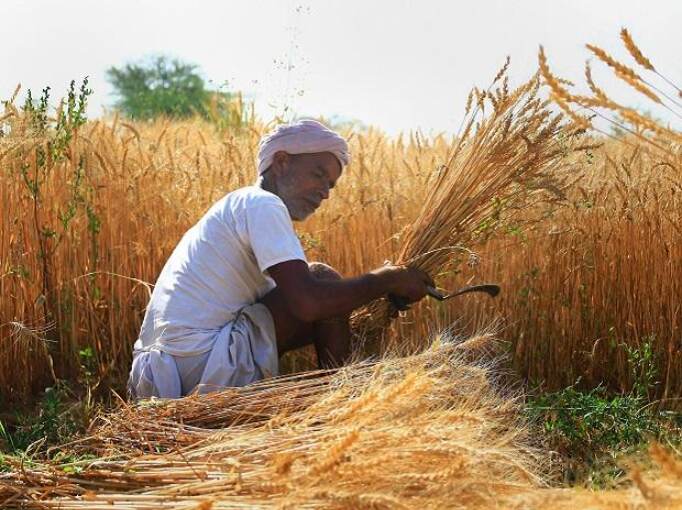 Govt hikes paddy MSP by Rs 72 to Rs 1,940/qtl for 2021-22