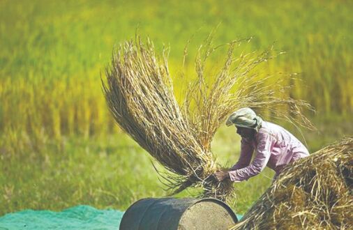 Indias agri exports up 17.34% to $41.25 billion in 2020-21