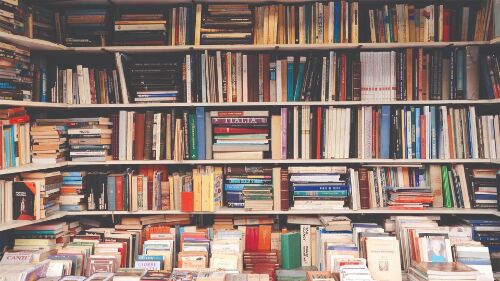 Steps taken to develop infra & hire staff for rural libraries