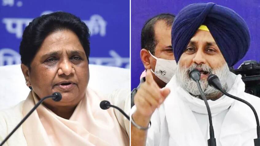 SAD, BSP form alliance for 2022 Pnj Assembly polls SAD, BSP form alliance for 2022 Pnj Assembly polls