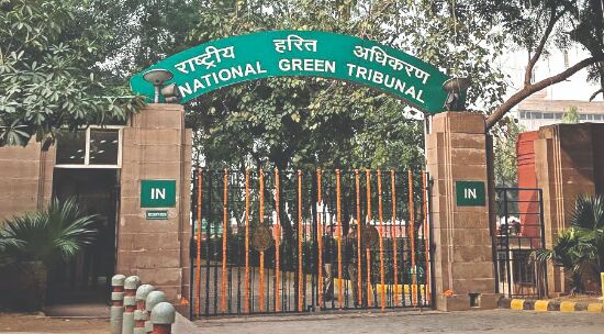 NGT junks plea claiming illegal roads, mining in Ggm Aravallis NGT junks plea claiming illegal roads, mining in Ggm Aravallis