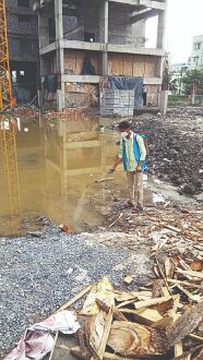 Within 48 hrs, KMC to mobilise areas witnessing cases of dengue Within 48 hrs, KMC to mobilise areas witnessing cases of dengue